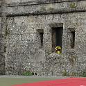 DSC06148